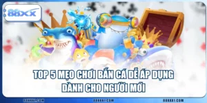 TOP 5 Mẹo Chơi Bắn Cá Dễ Áp Dụng Dành Cho Người Mới